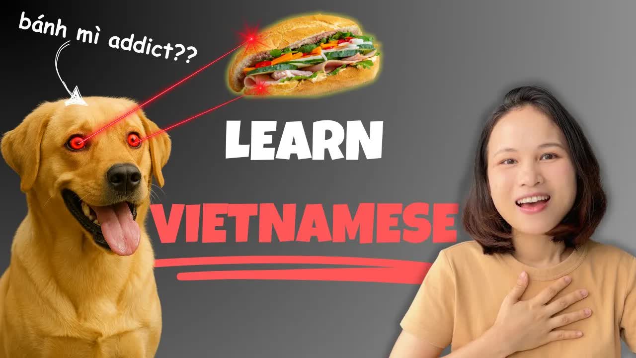 Chú chó Mì mê ăn bánh mì