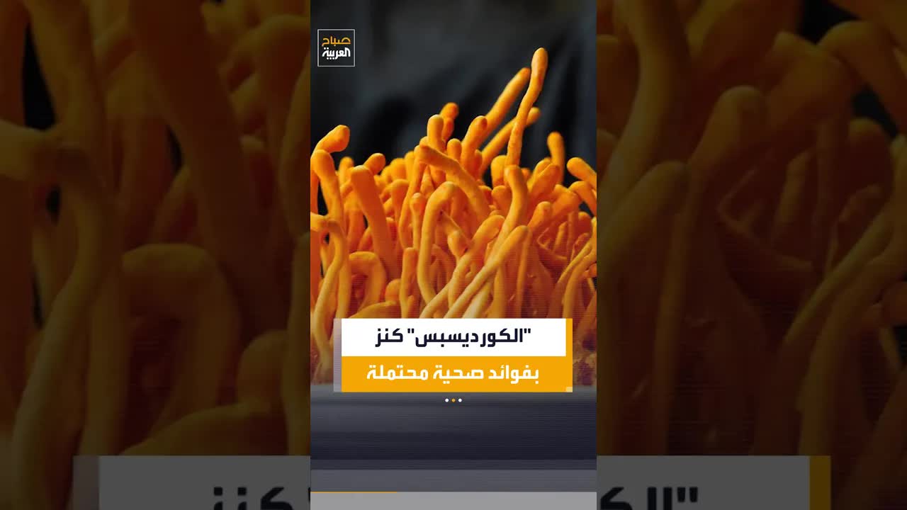 الكورديسبس: فطر نادر بفوائد صحية مذهلة