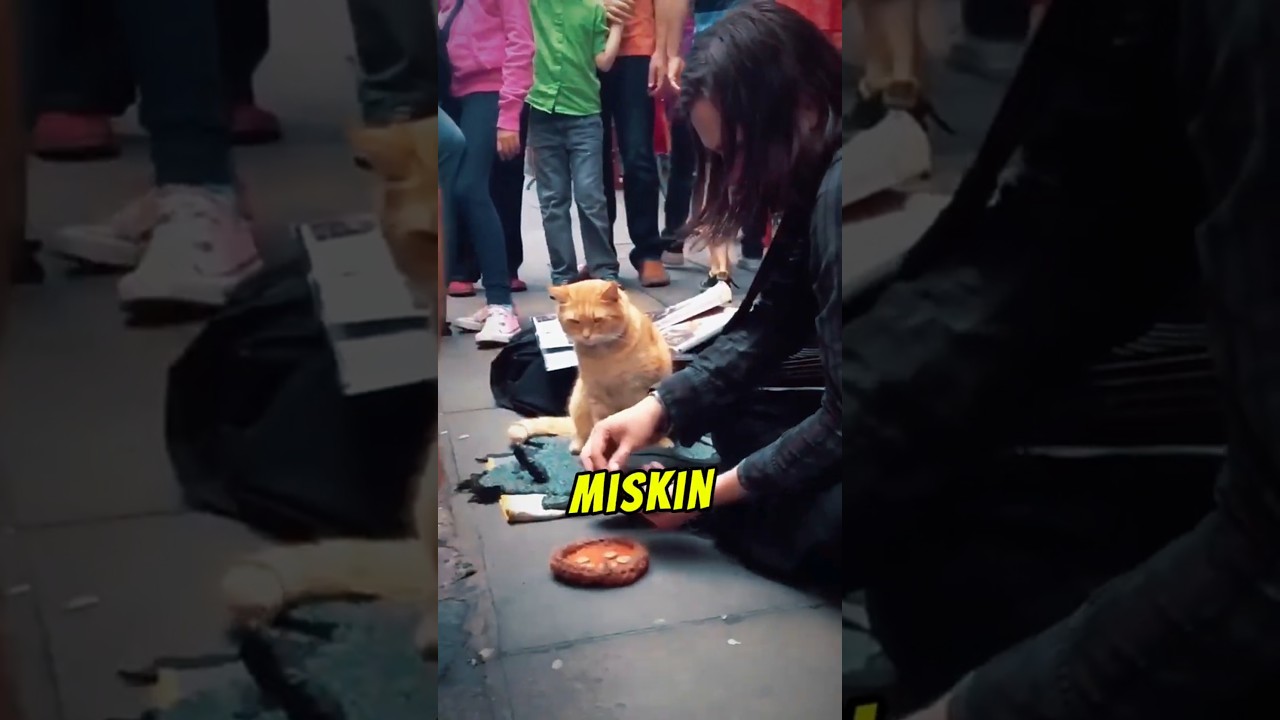 Kisah James Bowen dan Kucing Bob yang Mengubah Hidupnya
