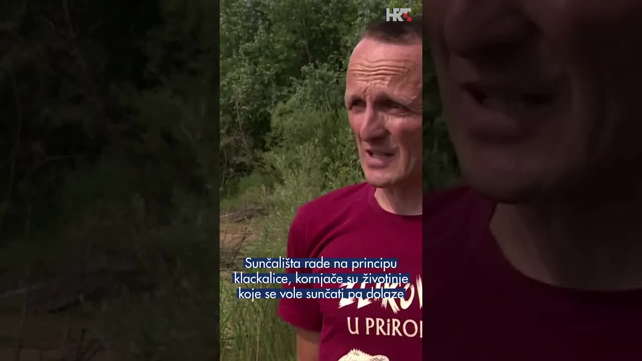 Kako klackalica spašava barsku kornjaču