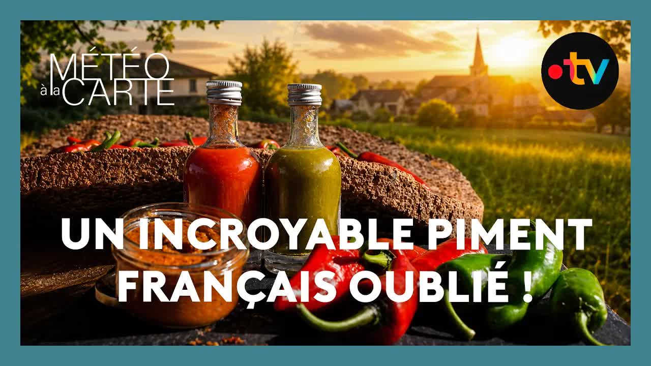 La renaissance du piment de Bresse