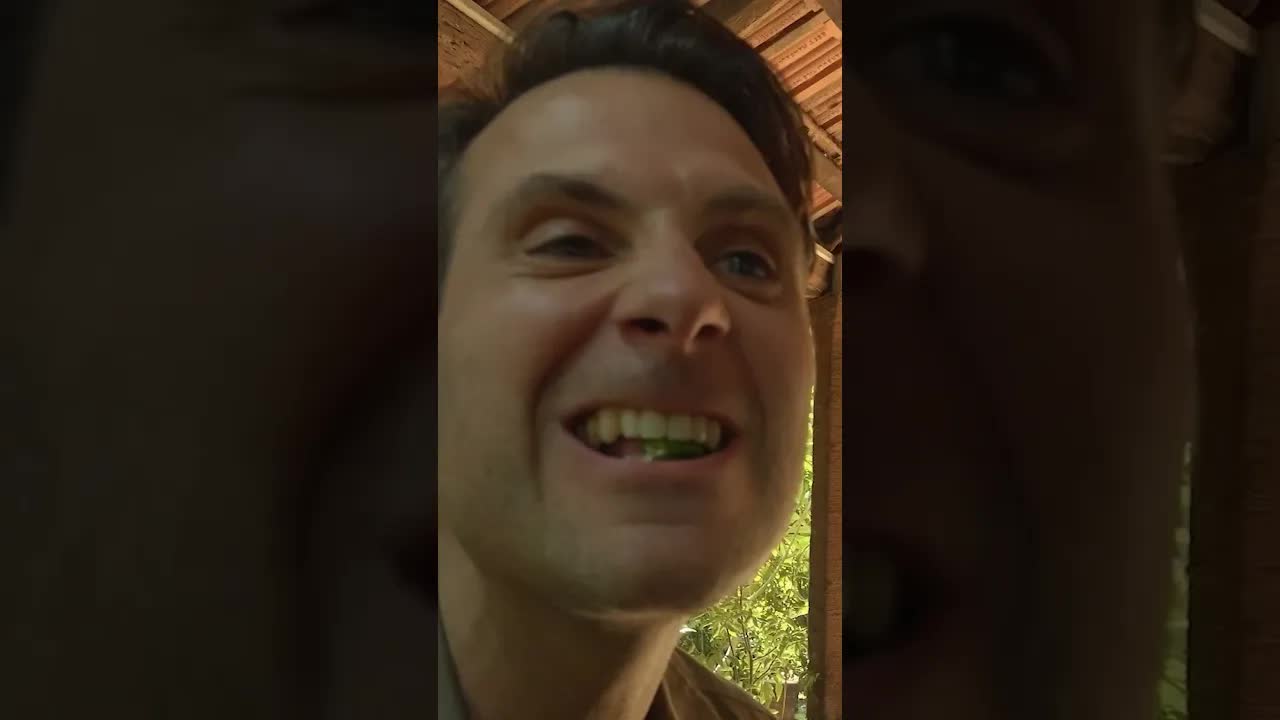 Pittige uitdaging in Goa met vrienden