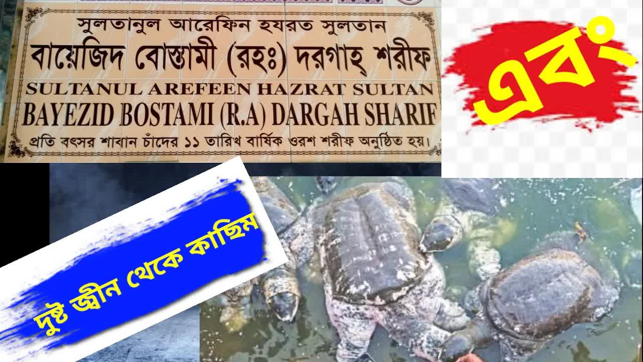 বায়াজিদ বোস্তামীর মাজার ও কাঁচমেদের গল্প