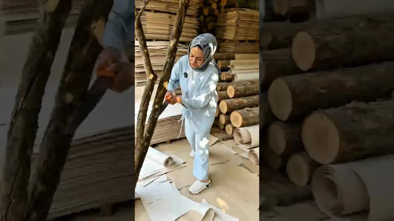 Okul İçin Kağıt Almak: Ağacı Kesme Mizahı