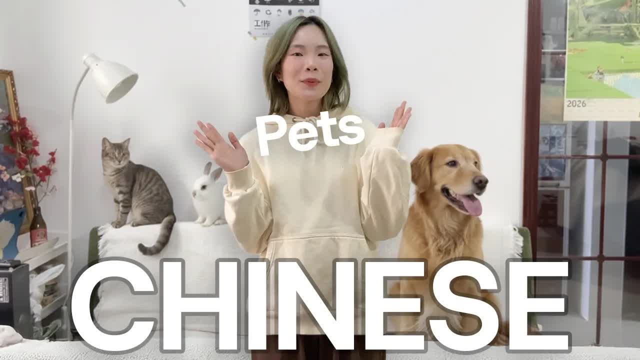用宠物学中文：猫狗乌龟和兔子