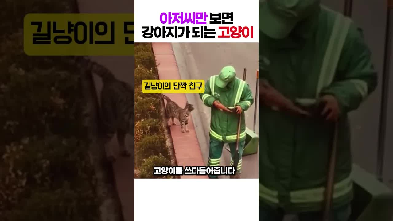 미화원 아저씨와 고양이의 아침 인사