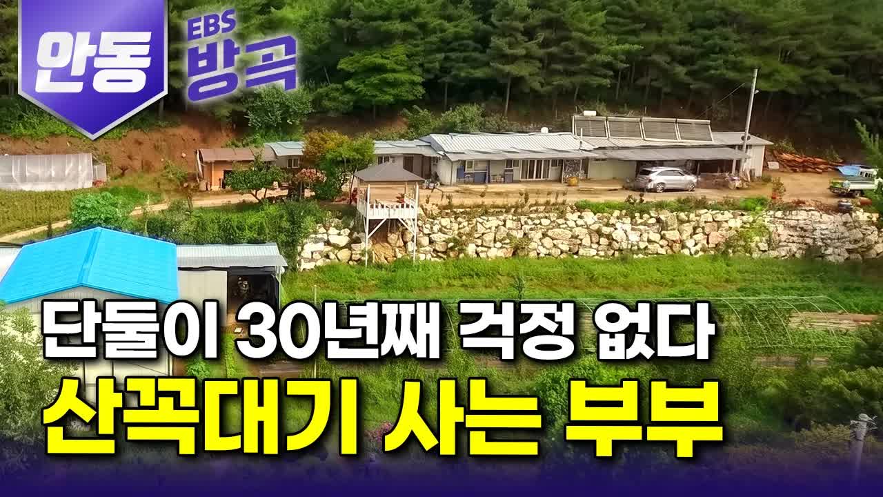 바람의 언덕에서 사과와 천연 염색 이야기