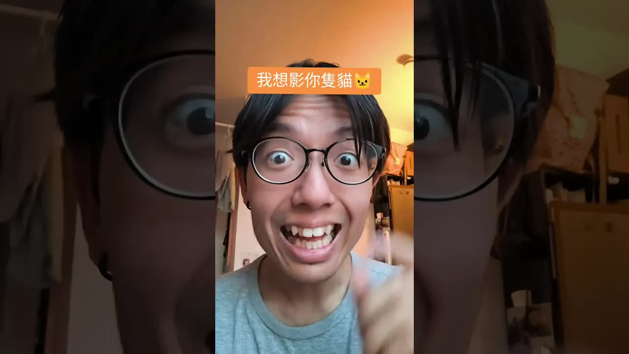 我養咗隻貓，好得意呀！