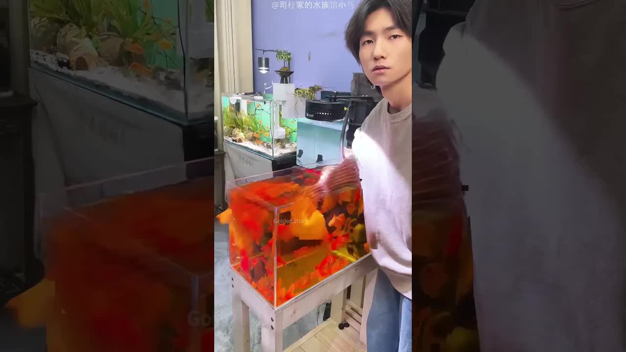 شاب ينظف حوض السمك بمنديل ورقي