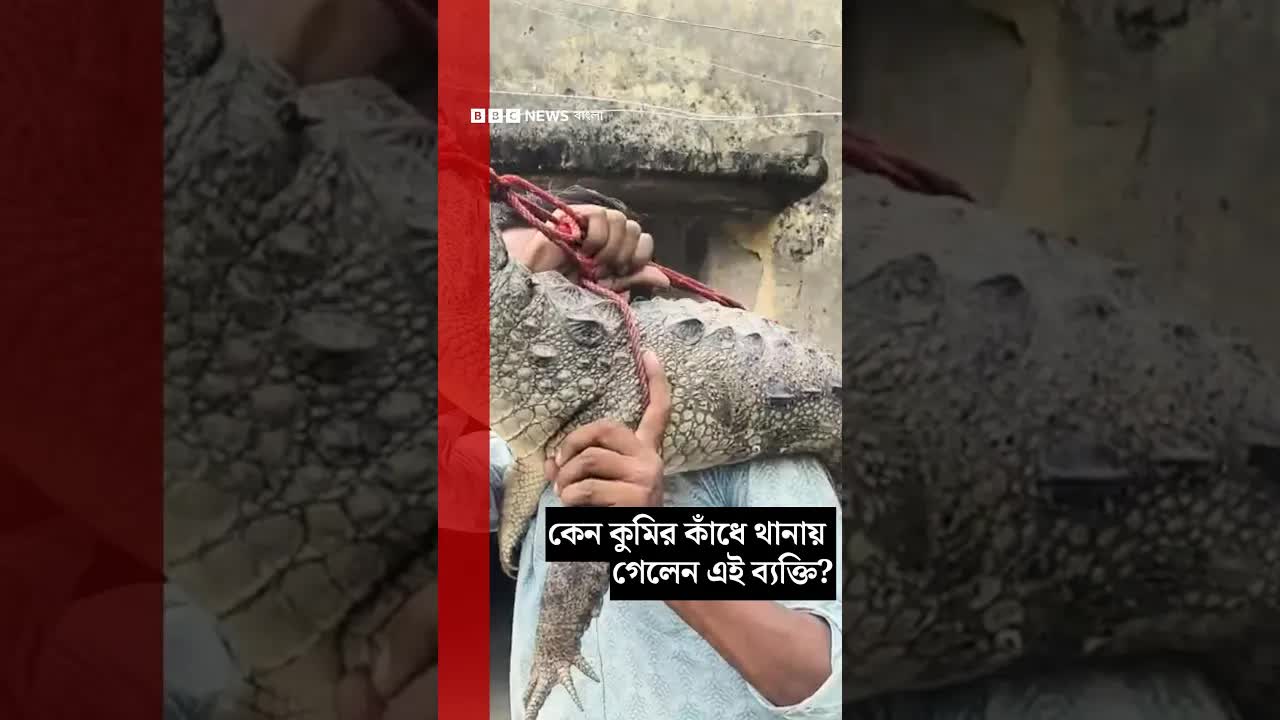 বিহারে কুমির ধরে থানায় নিয়ে যাওয়ার অদ্ভুত ঘটনা