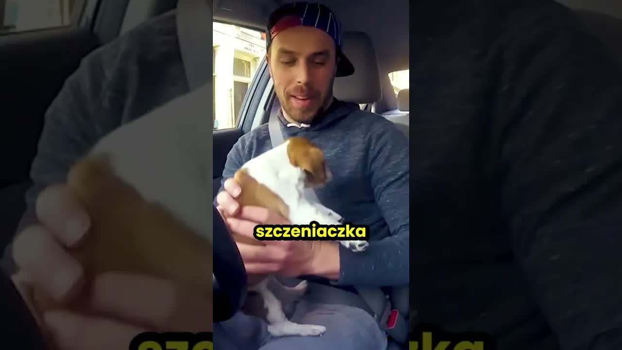 Kierowca Ubera rozwesela pasażerów szczeniaczkiem