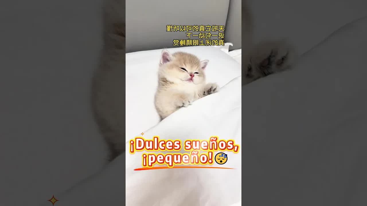 Buenas noches, mamá y amigos