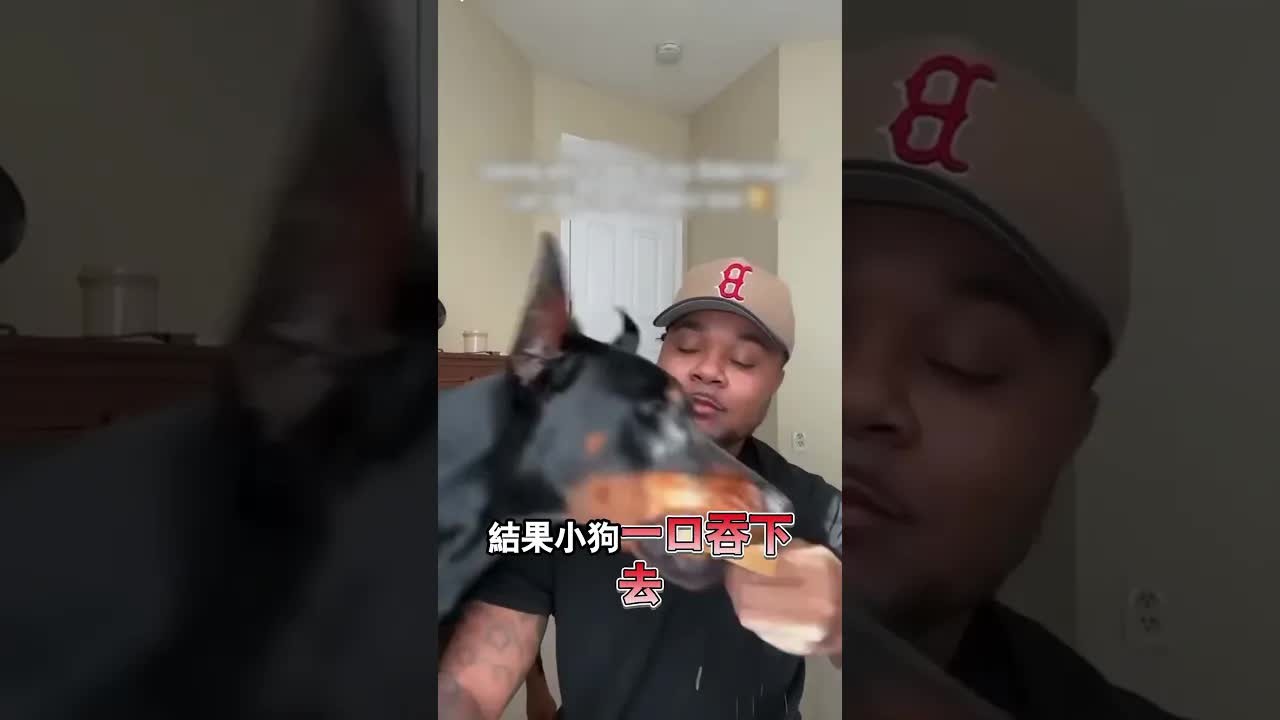 小狗吃麵包的有趣方式