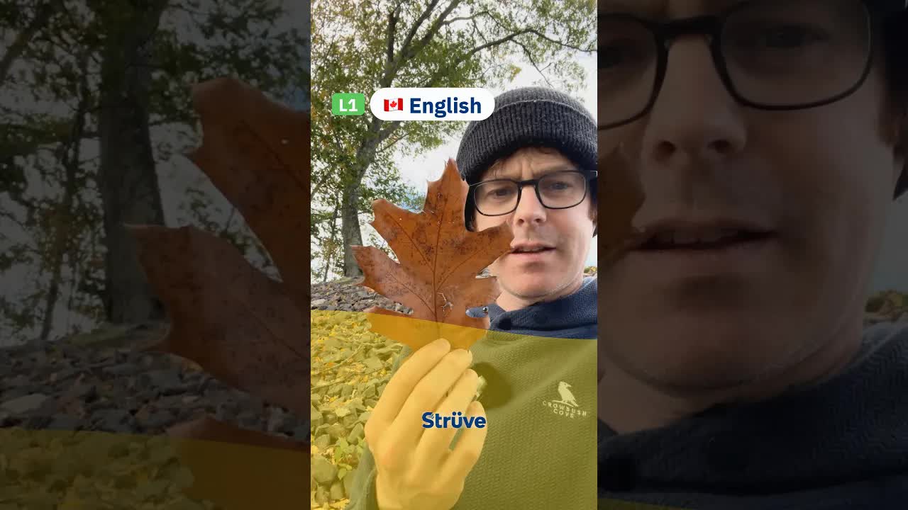 Autumn in New Brunswick Canada