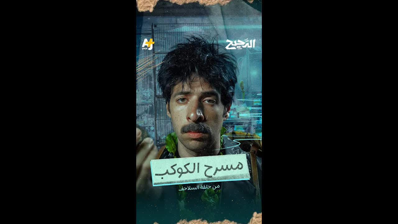 السلاحف: كائن بطيء لكنه ناجٍ عبر العصور