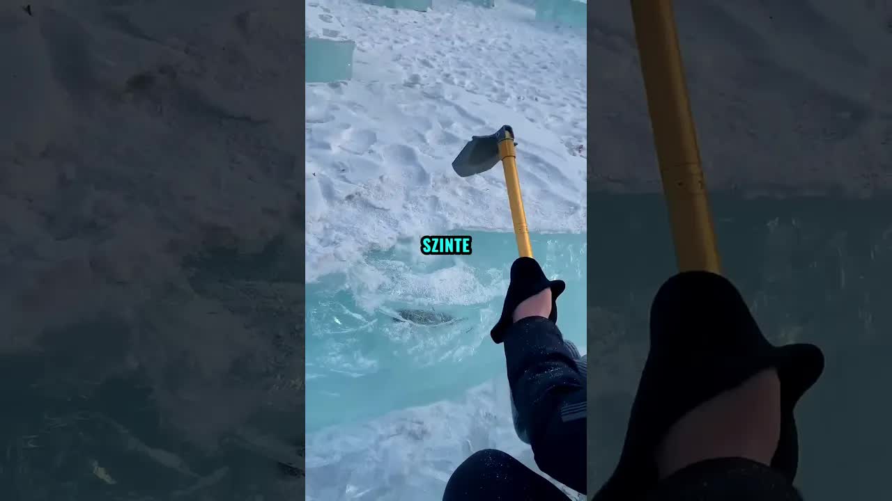 Jégbe fagyott halat mentenek ki