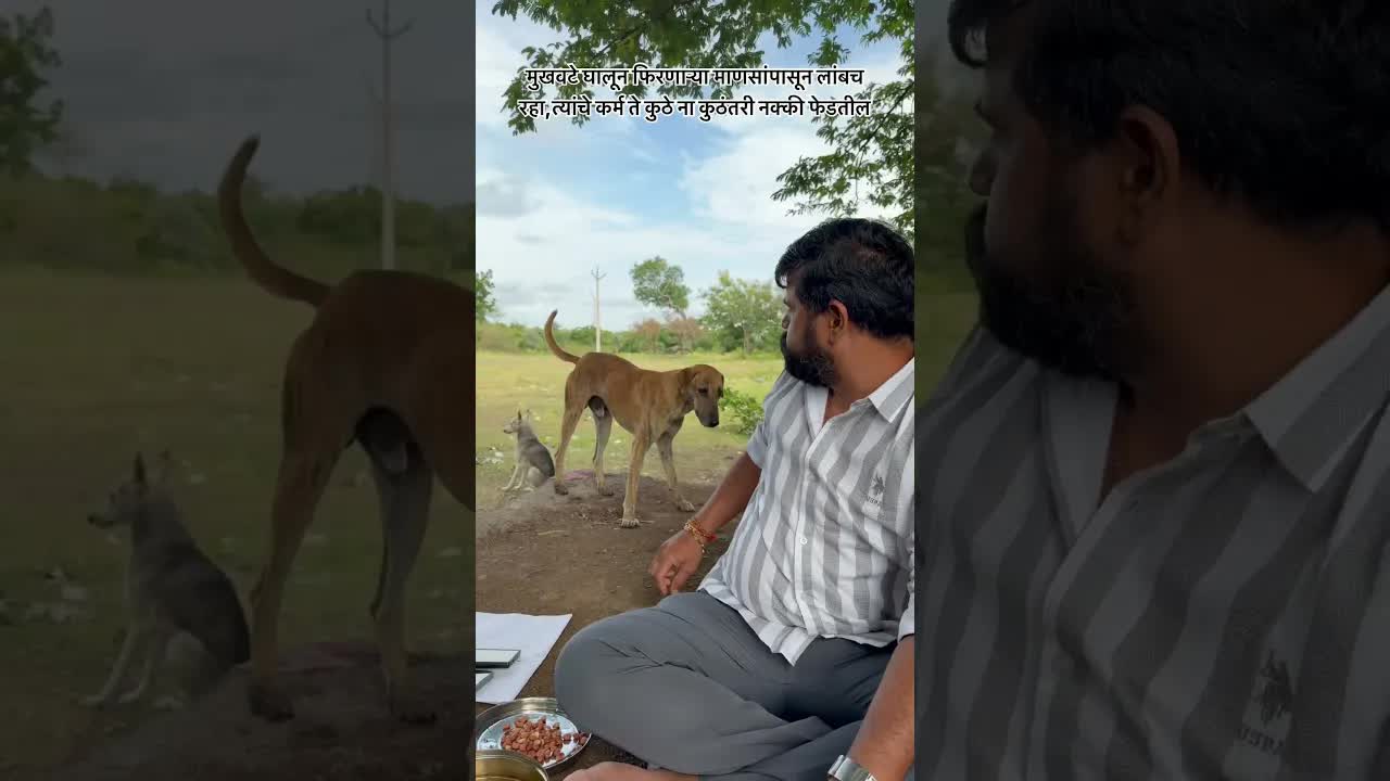 आयुष्यातील कुत्र्यांसारखी माणसे ओळखा