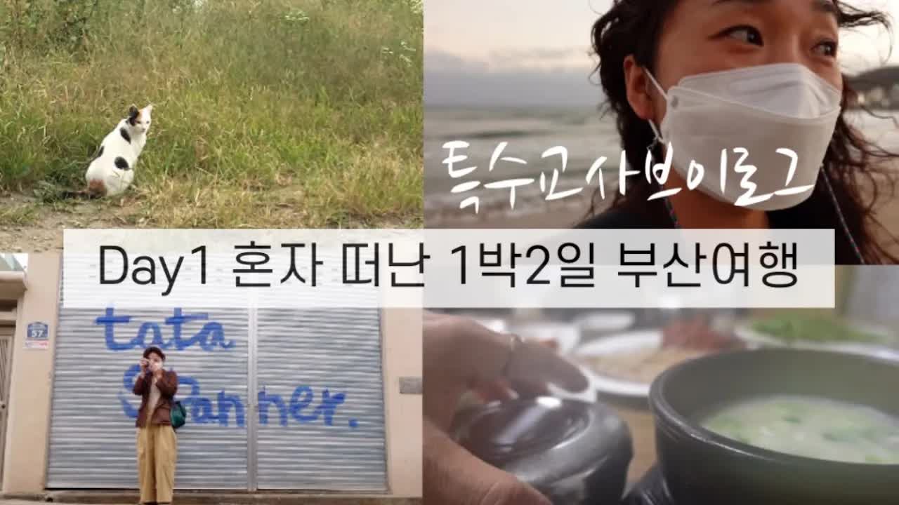 부산에서 서핑 여행 브이로그