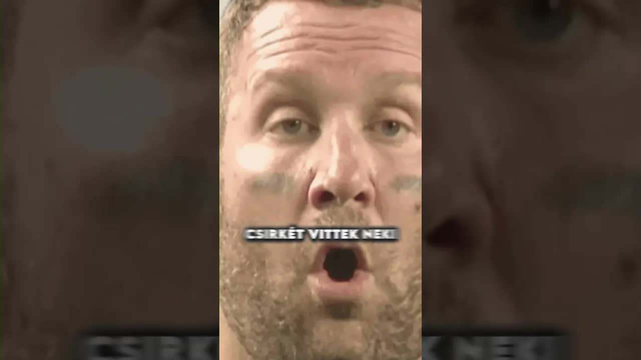 Oroszlán etetése a állatkertben