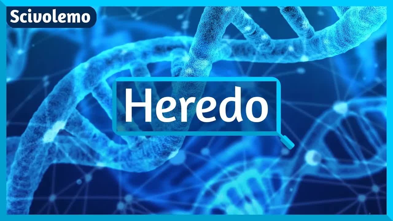 Kiel Heredo Funkcias: Mitokondrioj kaj DNA