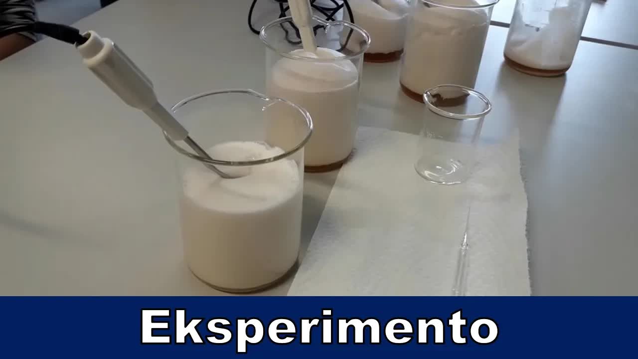 Tago el la vivo de instruisto: Manĝado kaj Scienco
