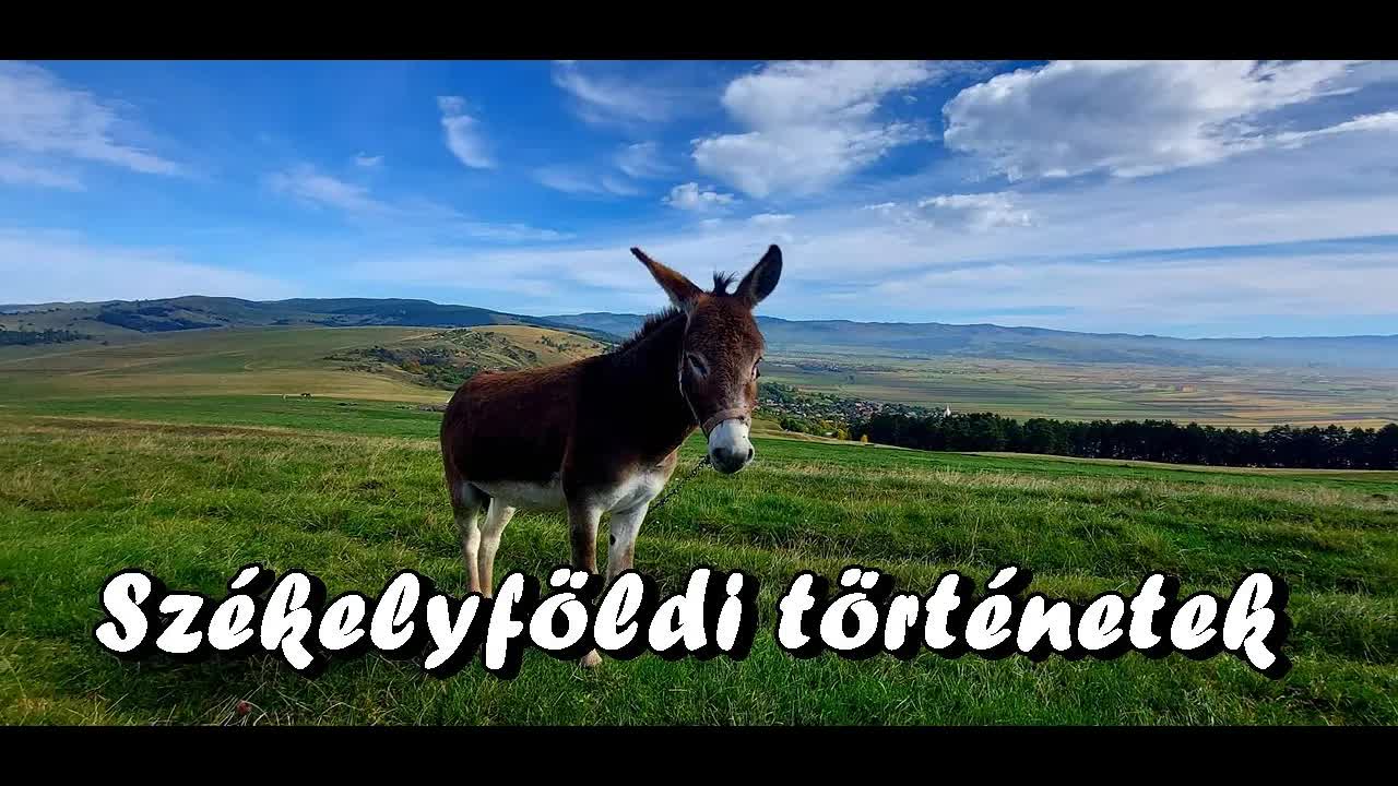 Csángótelep felfedezése Erdélyben