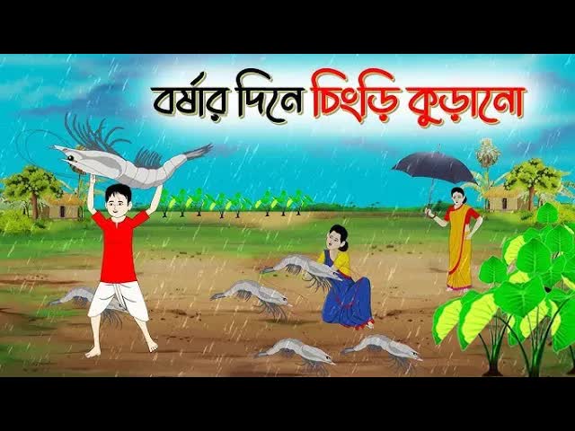 বৃষ্টির দিনে চিংড়ি কুড়ানোর গল্প