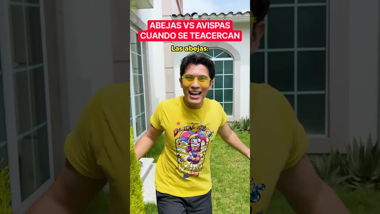 Ey, ¿no me piques? Una confusión con avispas
