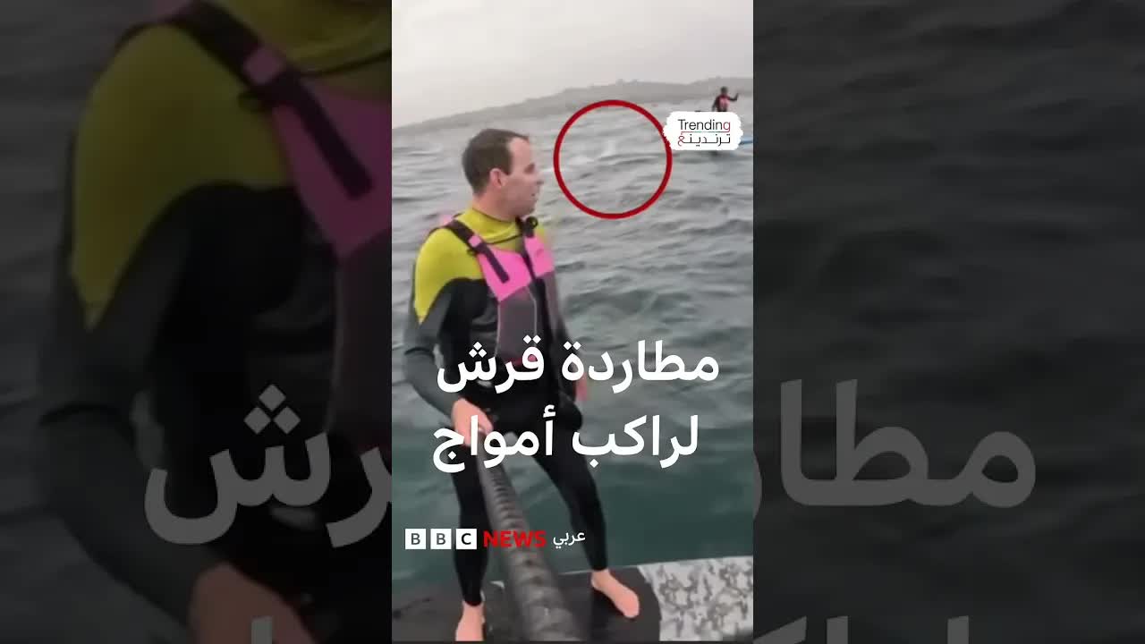 راكب أمواج ينجو من مطاردة قرش أبيض