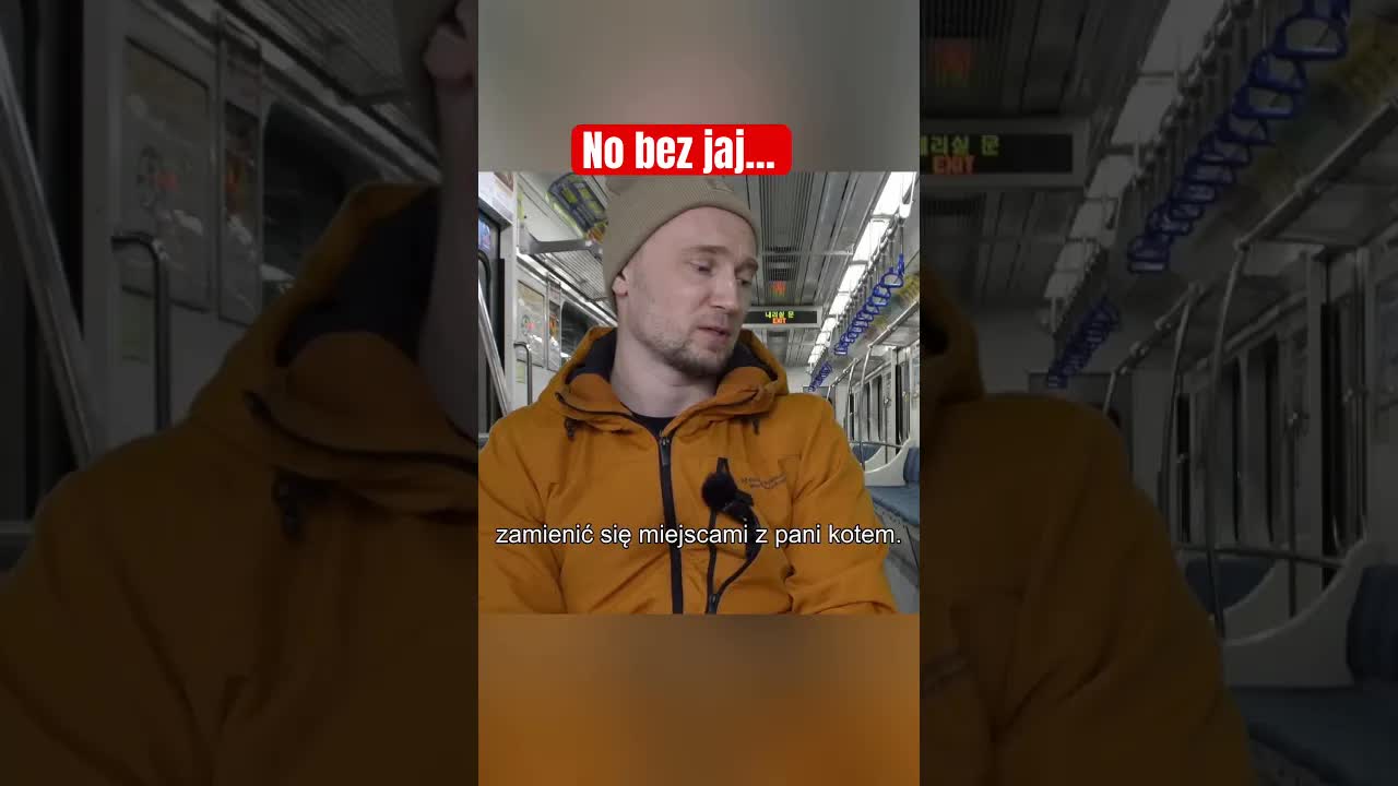 Komentarz do pięknych nóg i kota