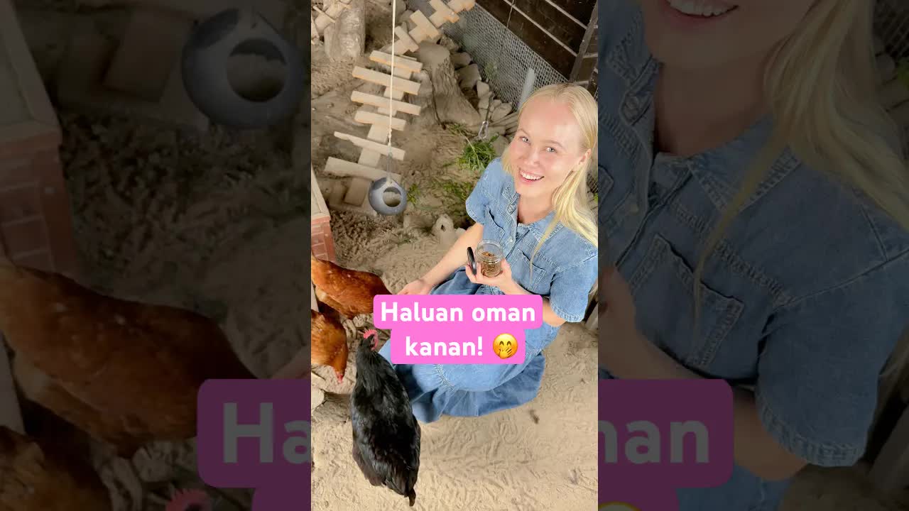 Pelko lintuihin katoaa kana-ystävyyden myötä