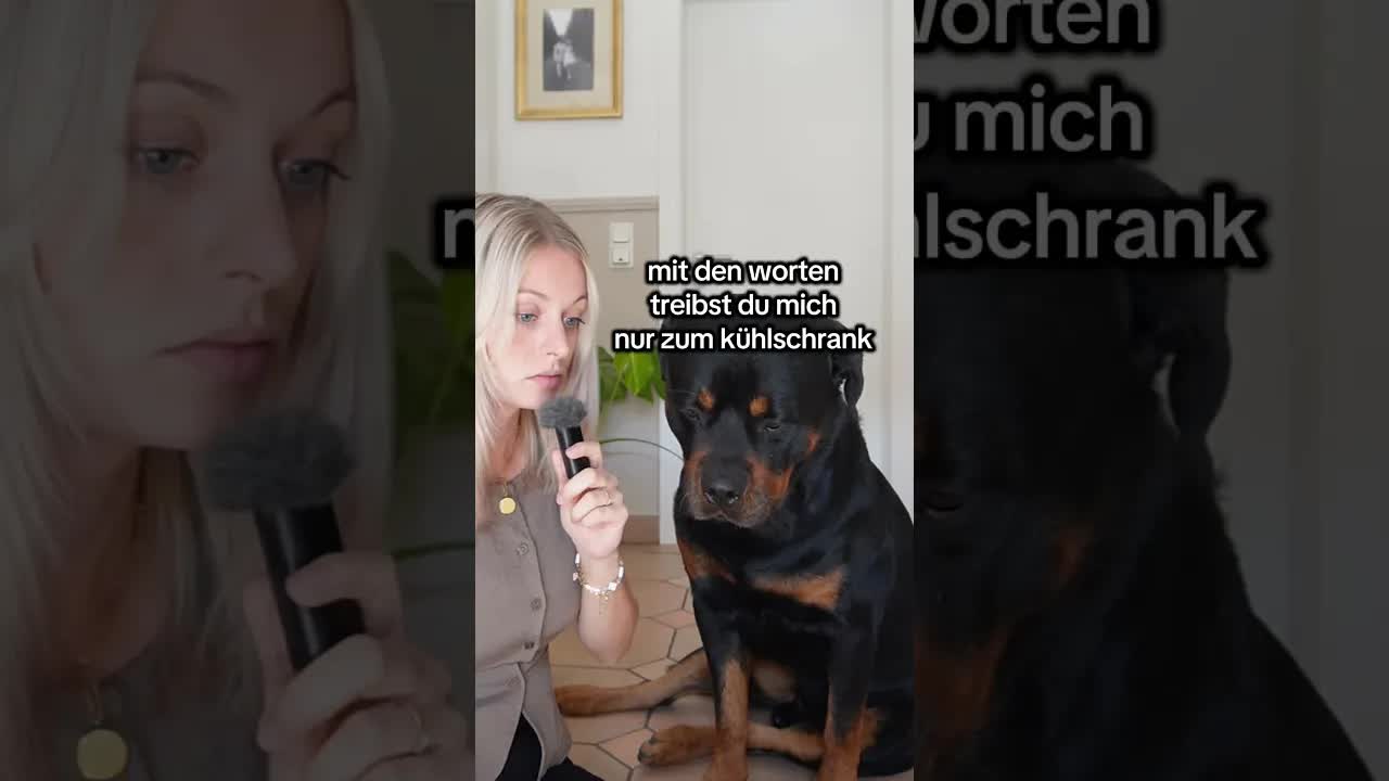 Drei Dinge, die Rottweiler nicht verstehen
