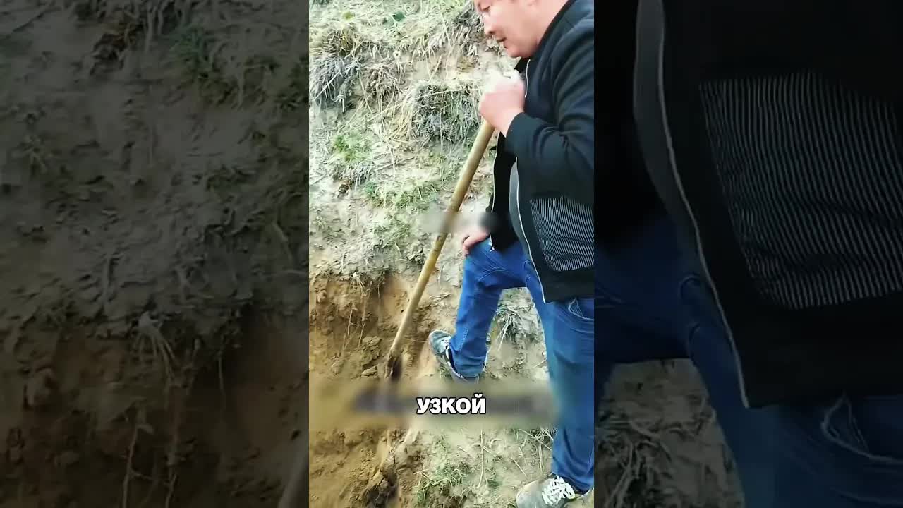 Как мужики спасли коня из траншеи