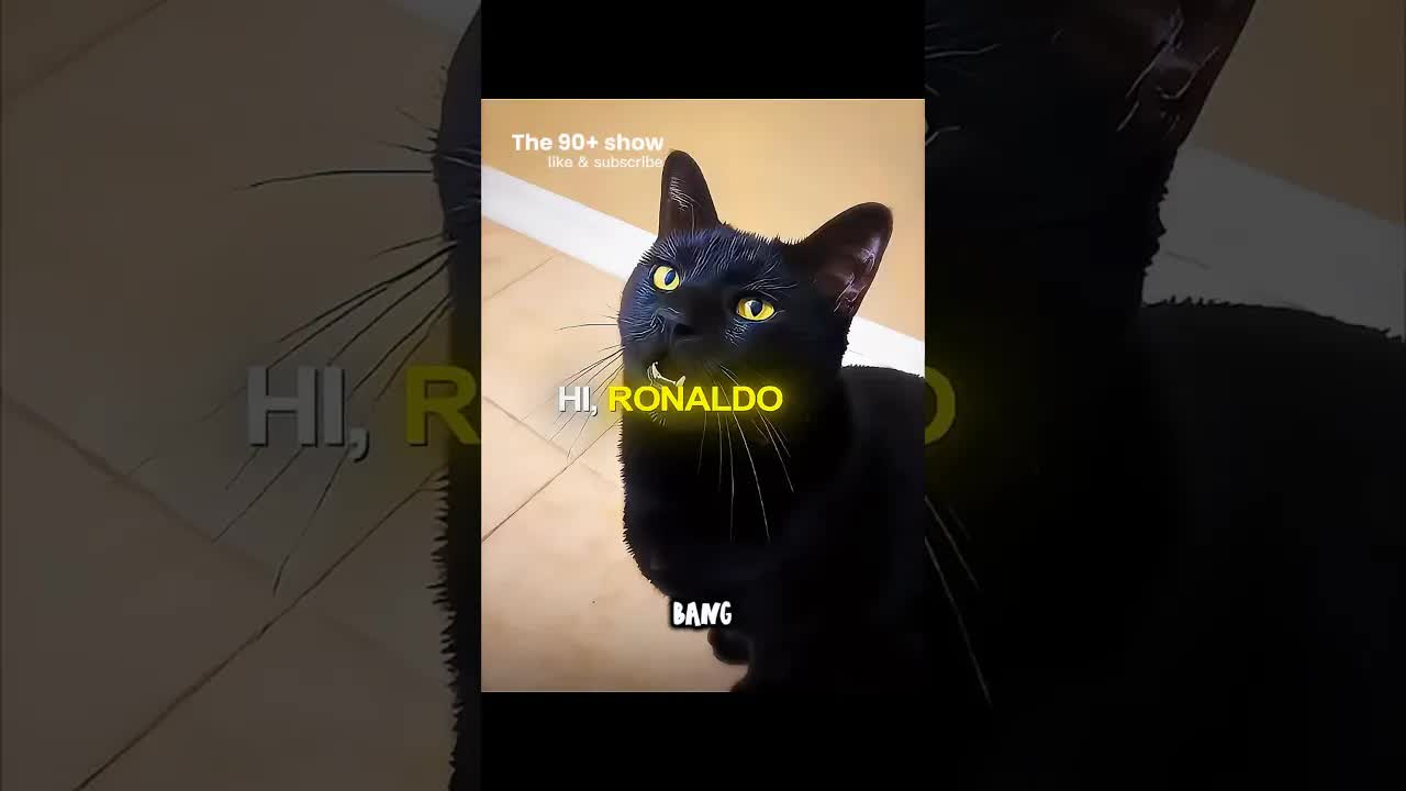 Kucing Menyapa Ronaldo dan Mencetak Gol