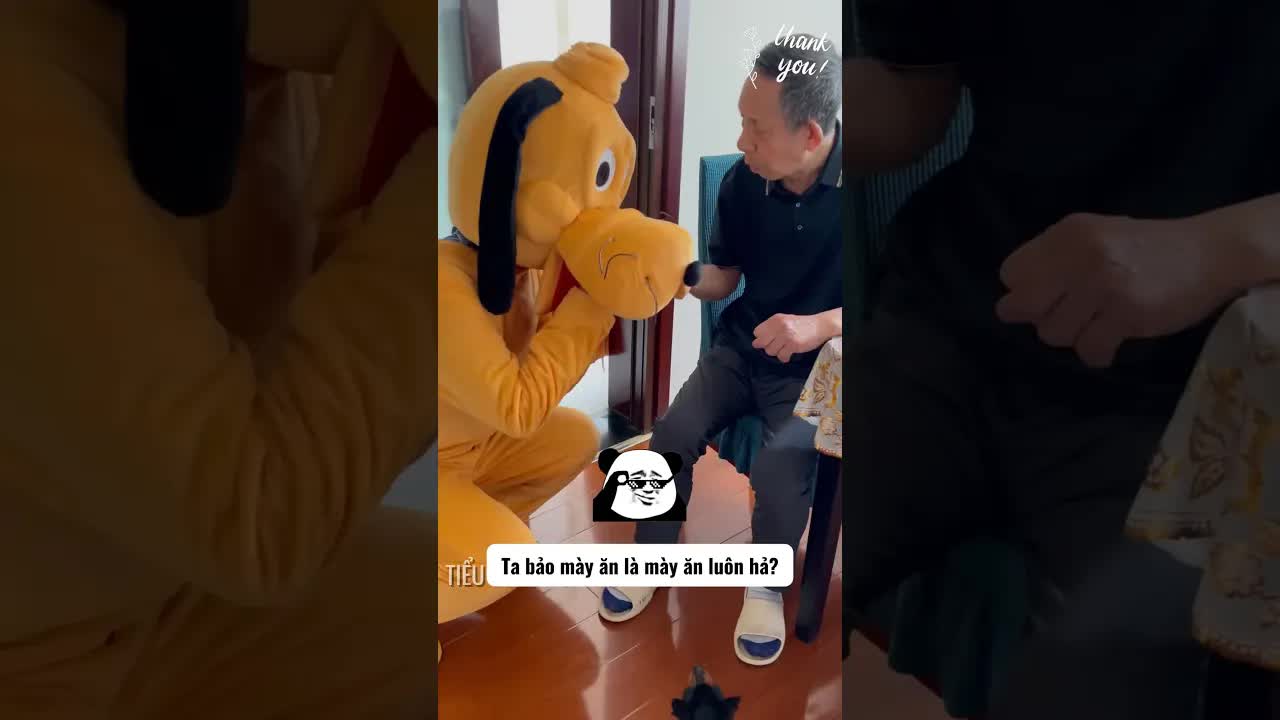 Ông ngoại chăm sóc chó của hàng xóm