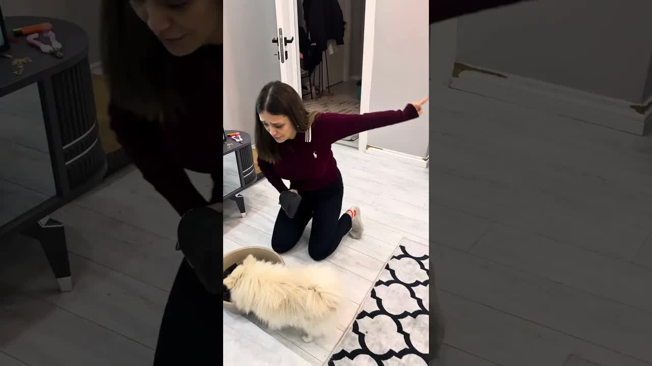 Lola’ya verilen çamaşır cezası