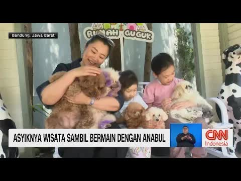 Wisata keluarga sambil berinteraksi dengan satwa di Bandung