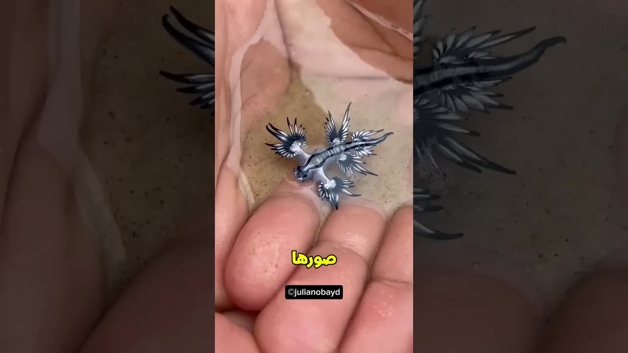 ولد ينقذ كائن غريب ويكتشف الحقيقة الصادمة