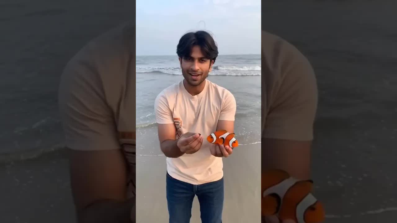 استكشاف المحيط بكاميرا مثبتة على سمكة
