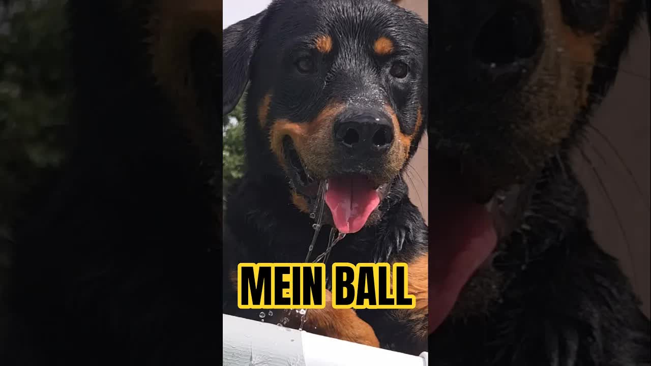 Kampf um den Ball im Pool