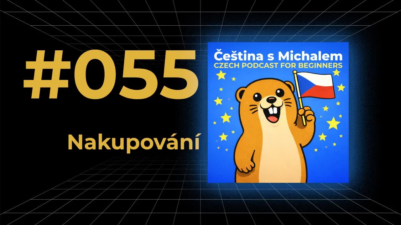 Nakupování v obchodě versus internet