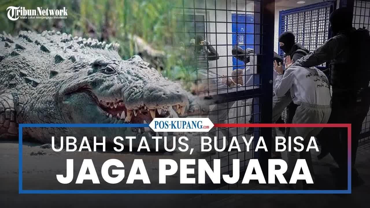 Buaya Israel Digunakan Cegah Tahanan Kabur