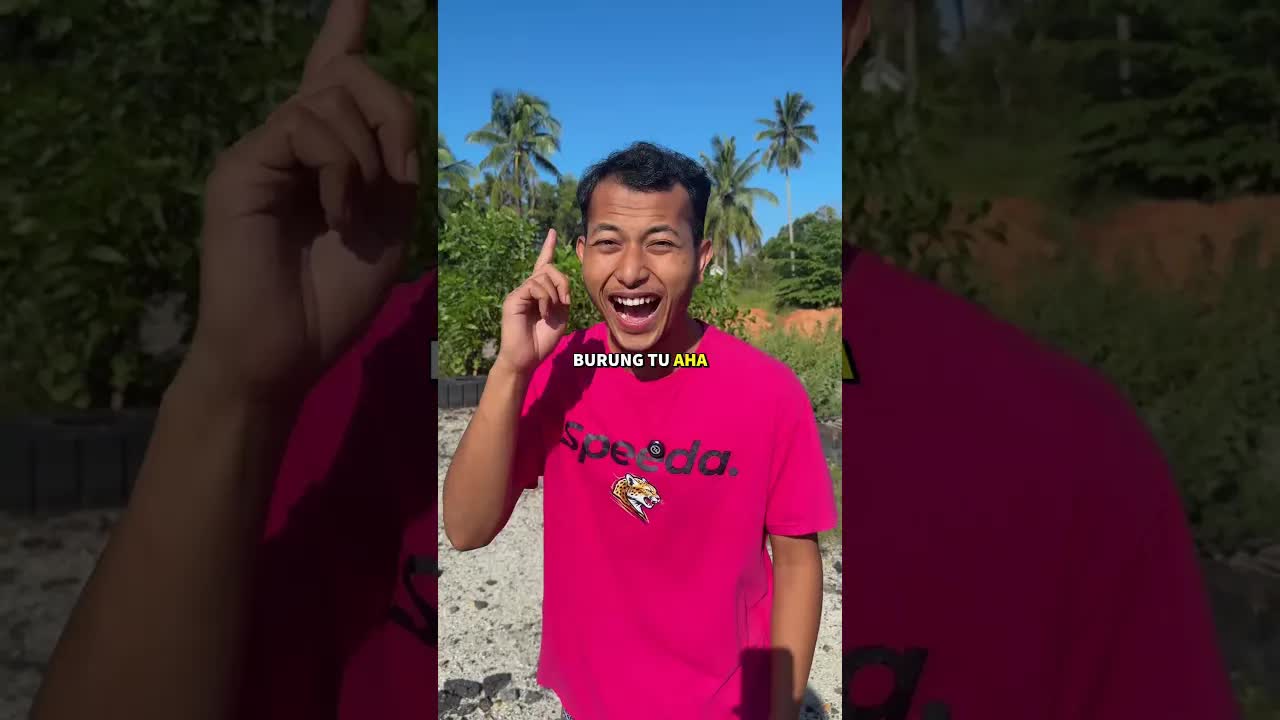 Ehsan Tebang Pokok Tanpa Izin