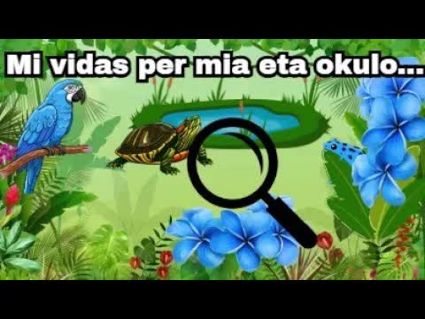 Mi vidas per mia eta okulo: Ludo pri koloroj