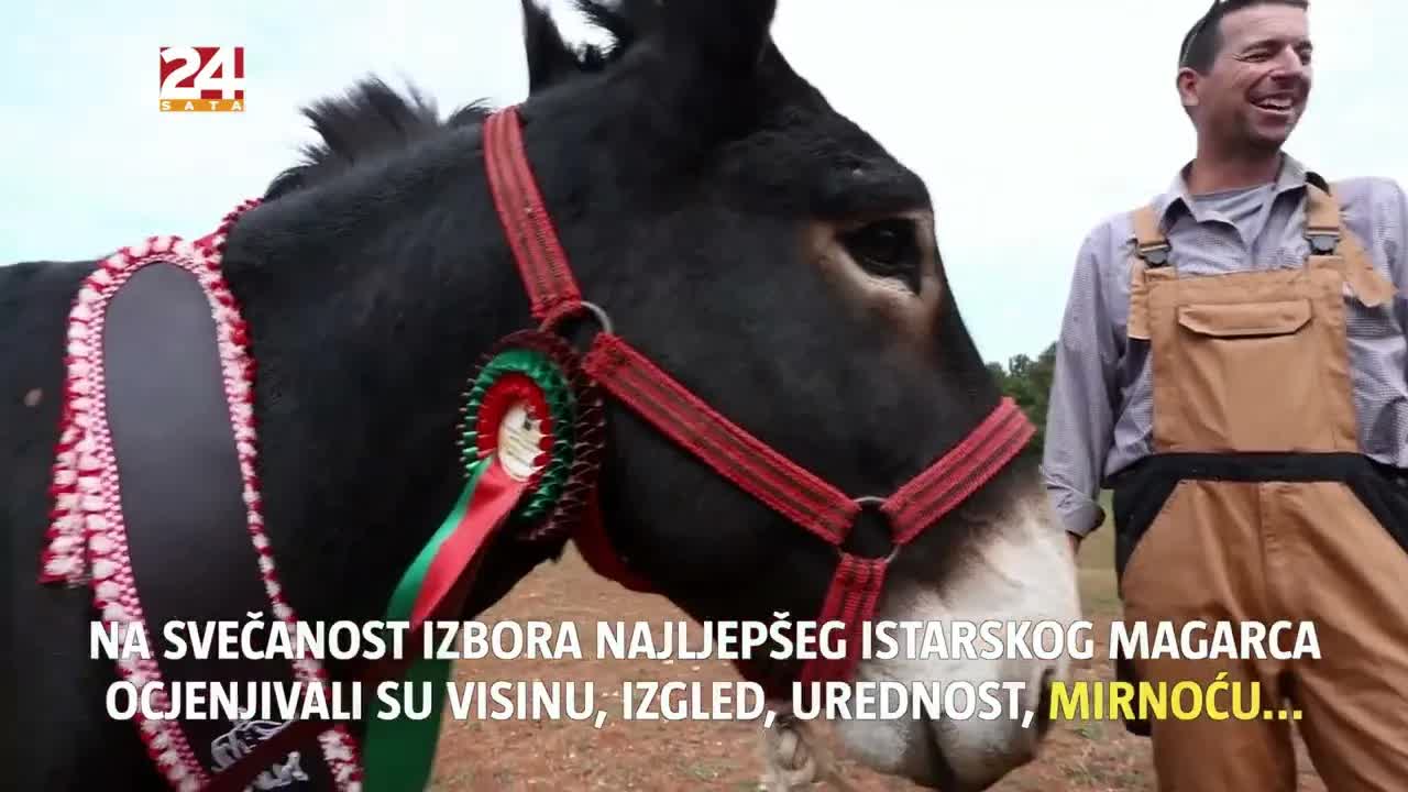 240 sekundi: Kriminologija, politika i sport u Hrvatskoj