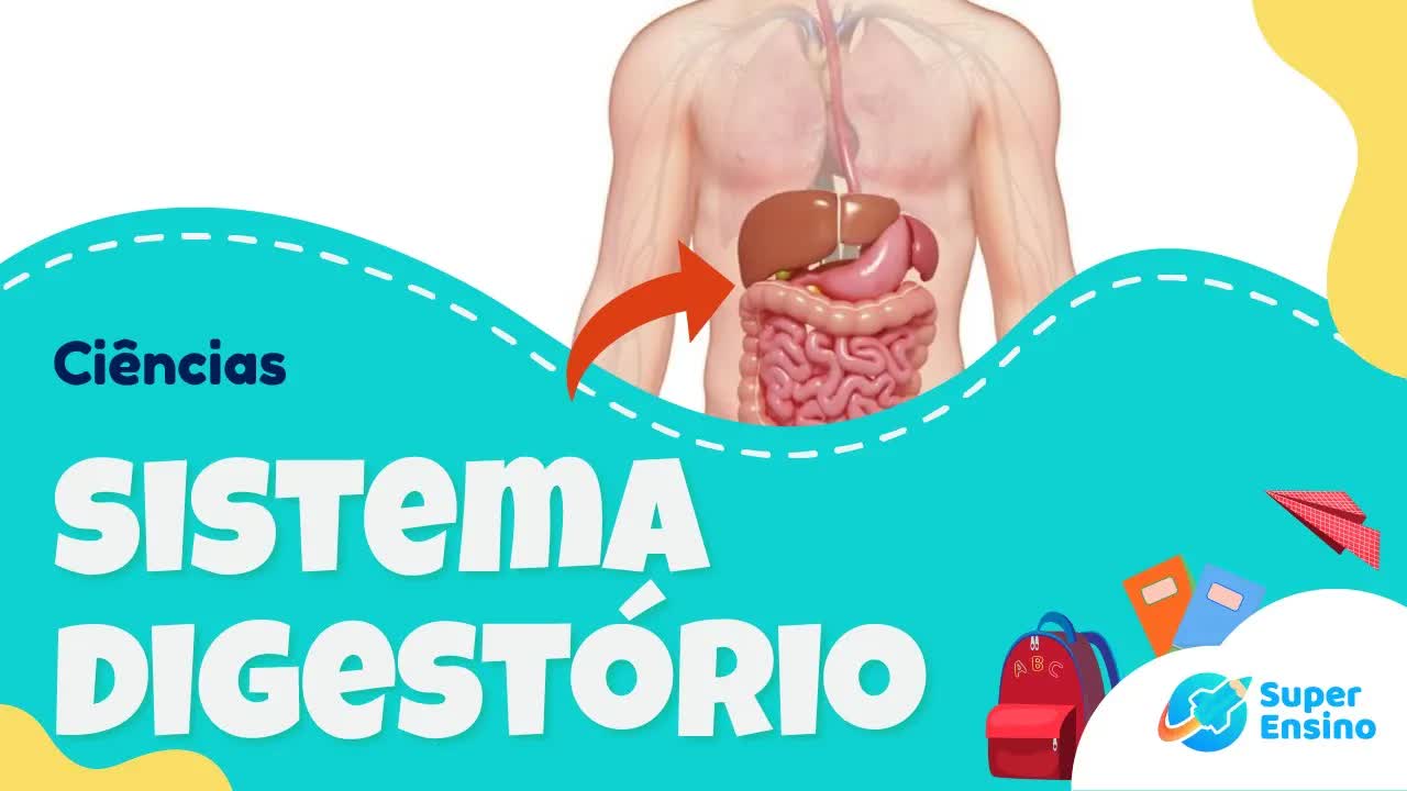 Sistema Digestivo – Ciências para Crianças