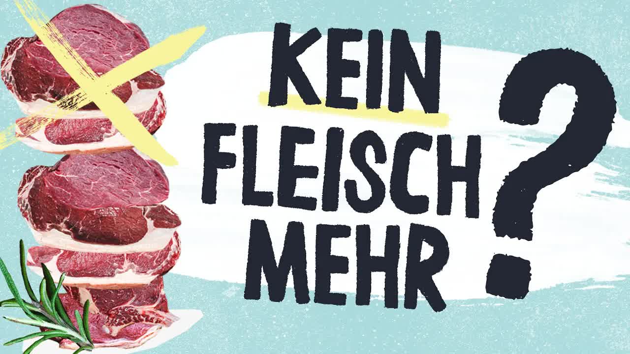 Sollten wir weniger Fleisch essen?