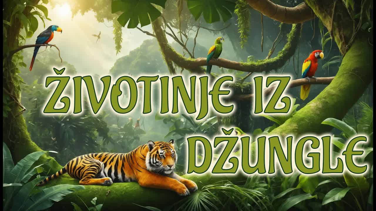 Upoznaj džunglske životinje kroz zabavu