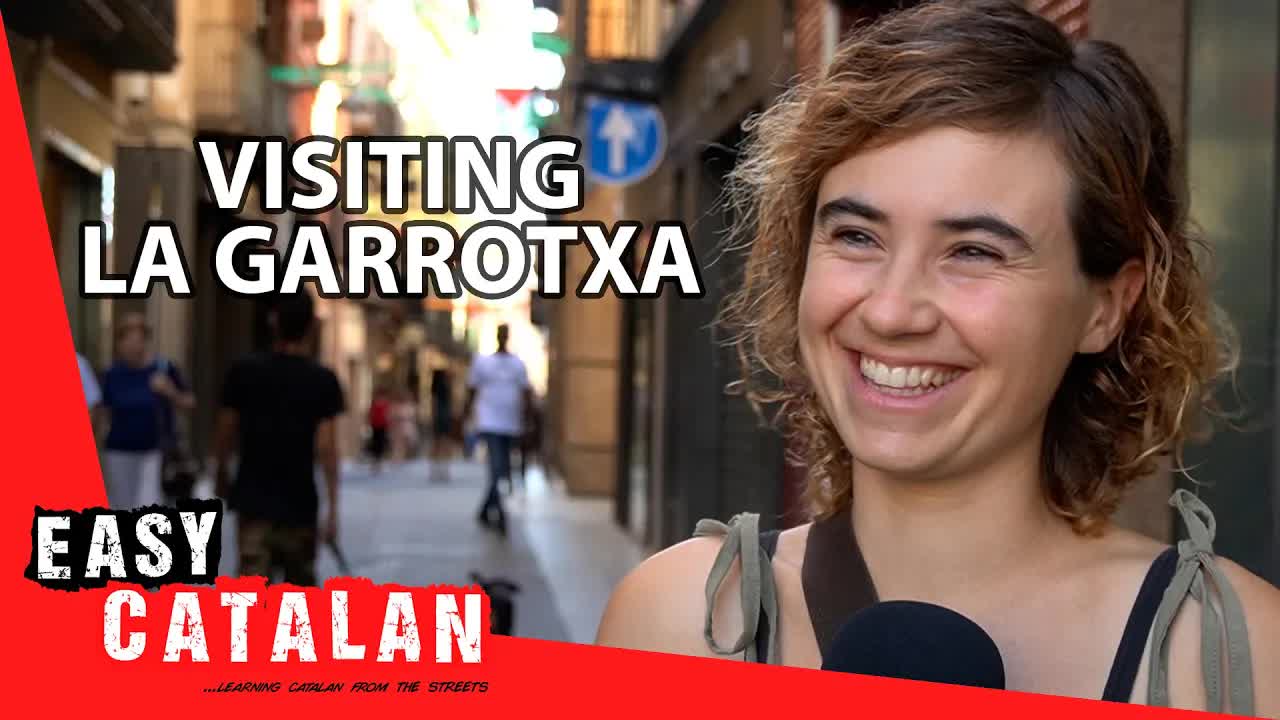 Descobrint els paisatges volcànics de la Garrotxa