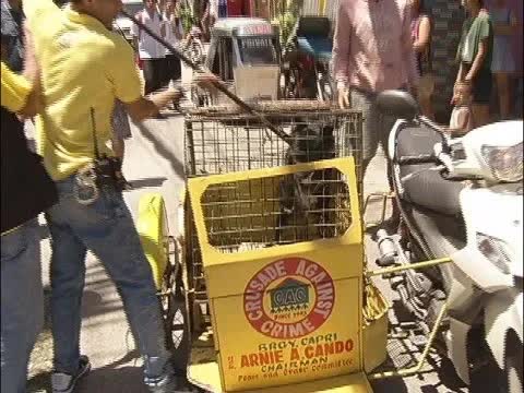 Oplan Dog-hang: paghuli sa mga asong pakalat-kalat